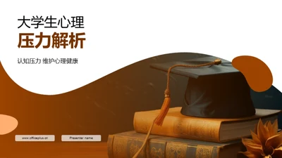 大学生心理压力解析