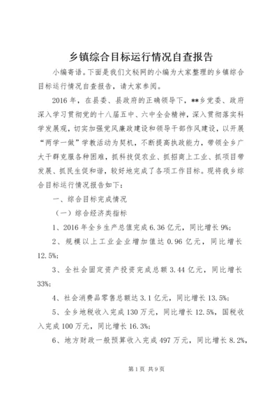 乡镇综合目标运行情况自查报告.docx