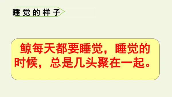 部编版 五年级语文上册第五单元习作例文 《鲸》（课件）