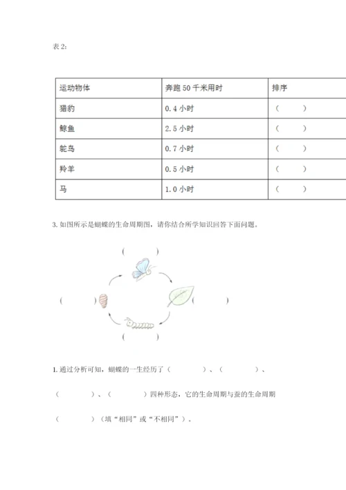 教科版科学三年级下册 期末测试卷（能力提升）.docx