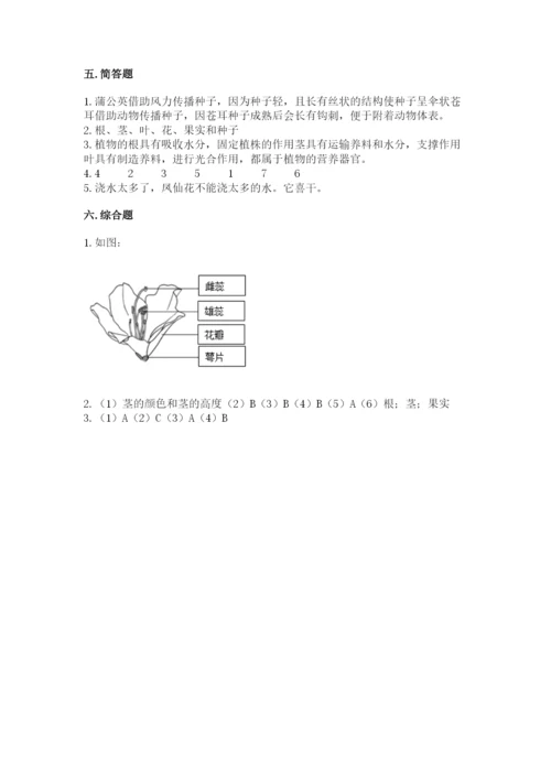 科学四年级下册第一单元植物的生长变化测试卷附完整答案【夺冠系列】.docx