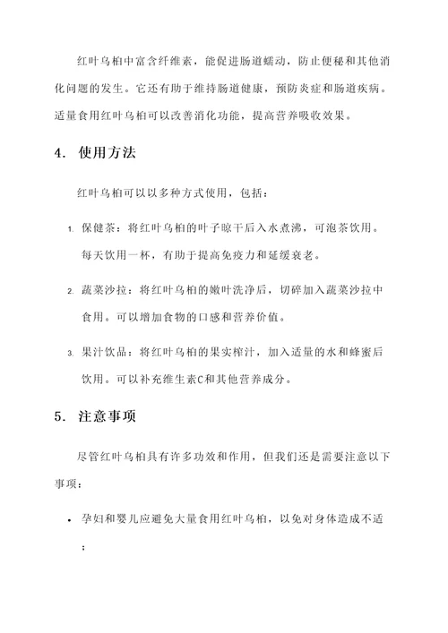 红叶乌桕的功效和作用