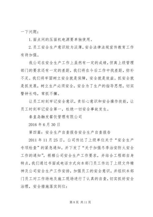 安全生产自查报告 (8).docx