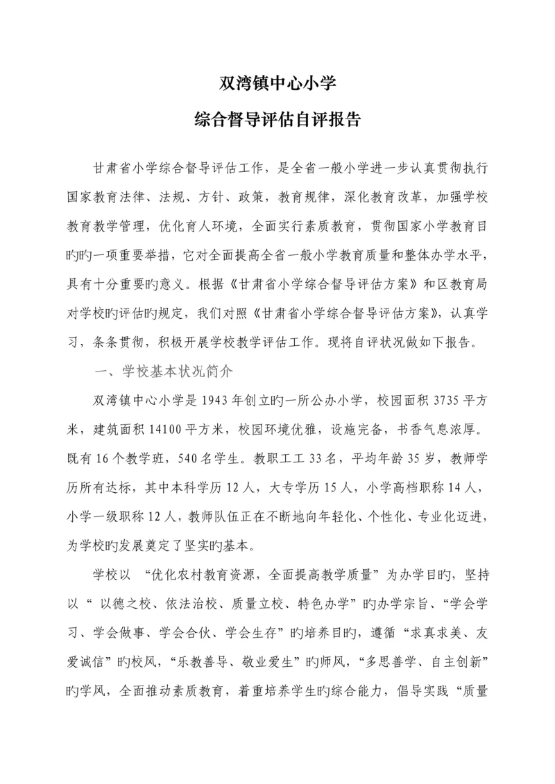 督导评估自评经典报告.docx