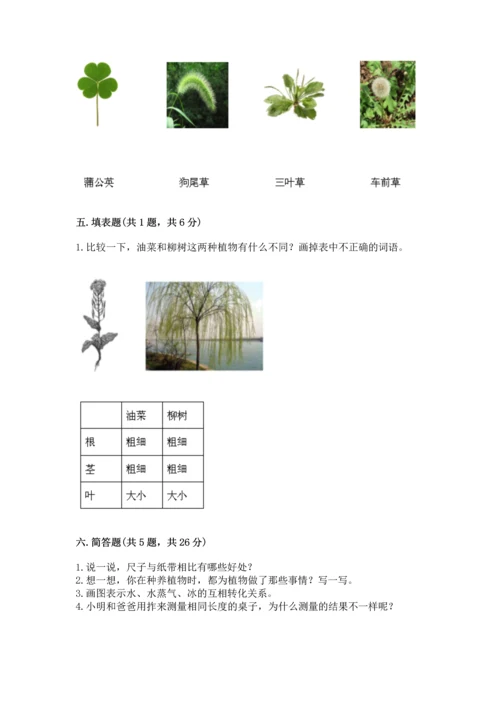 教科版科学一年级上册期末测试卷精品（夺冠系列）.docx