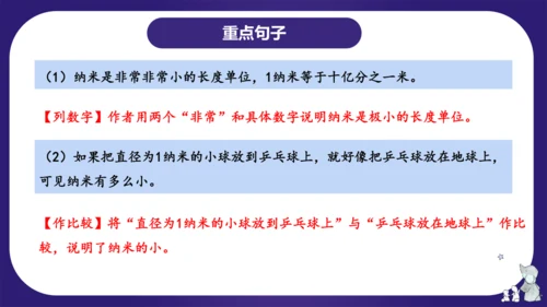 统编版四年级语文下学期期中核心考点集训第二单元（复习课件）