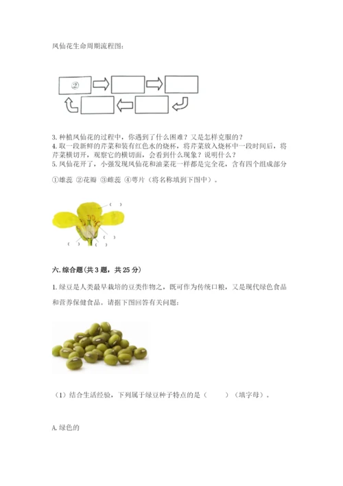 教科版科学四年级下册第一单元《植物的生长变化》测试卷带答案（精练）.docx