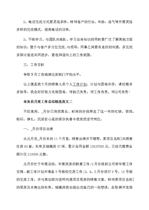 业务员月度工作总结精选范文