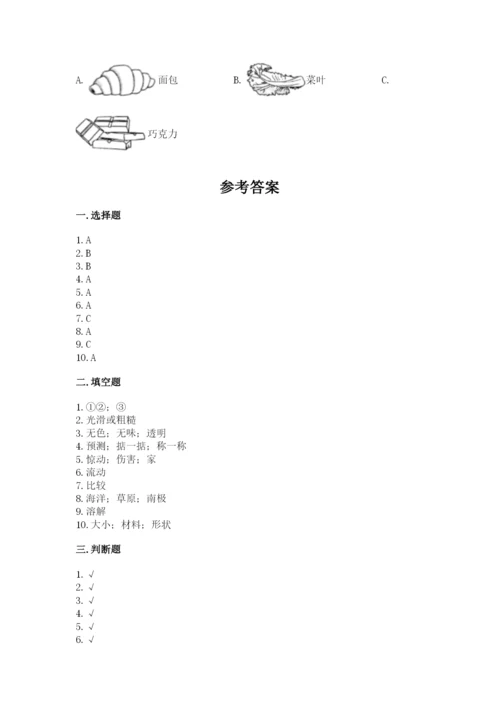 教科版一年级下册科学期末测试卷附完整答案（易错题）.docx