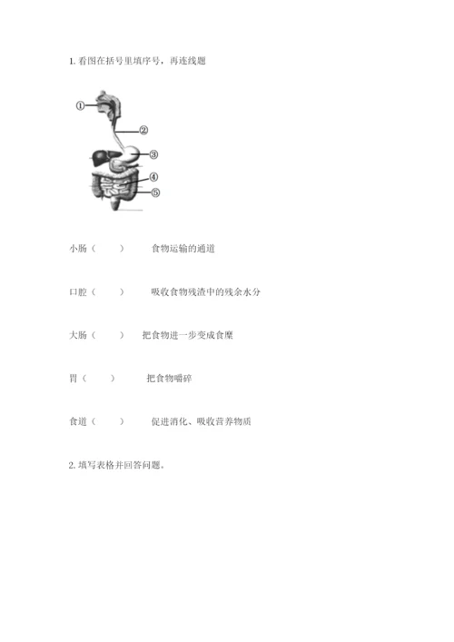 教科版科学四年级上册第二单元《呼吸和消化》测试卷精品（全优）.docx