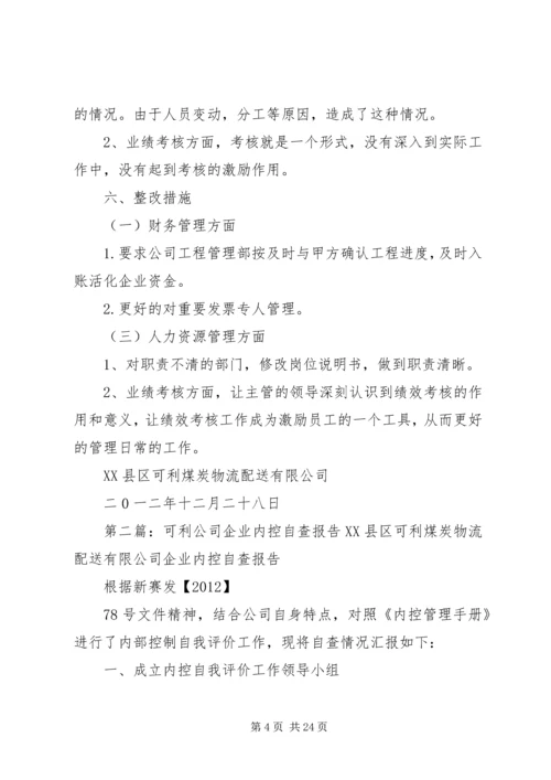 可利公司企业内控自查报告.docx