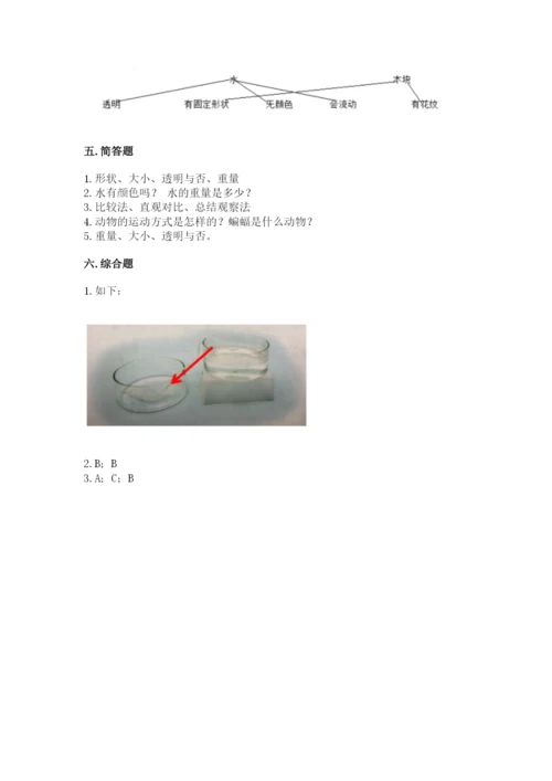教科版一年级下册科学期末测试卷【研优卷】.docx