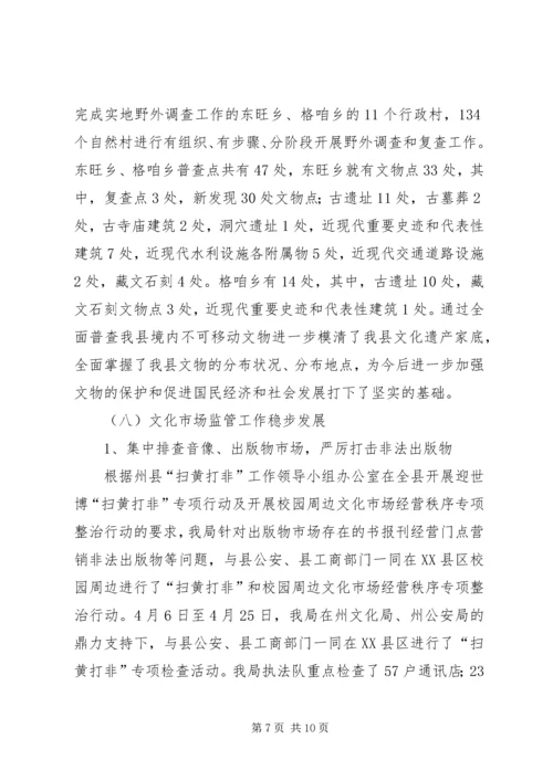 文体局上半年工作总结及下半年工作计划_1.docx