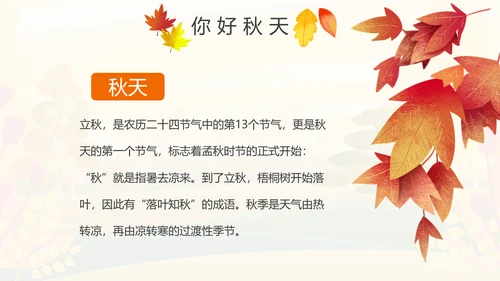 秋天来了银杏树旅游日记秋风季动态PPT