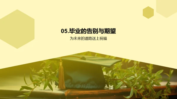 大学四年的历程