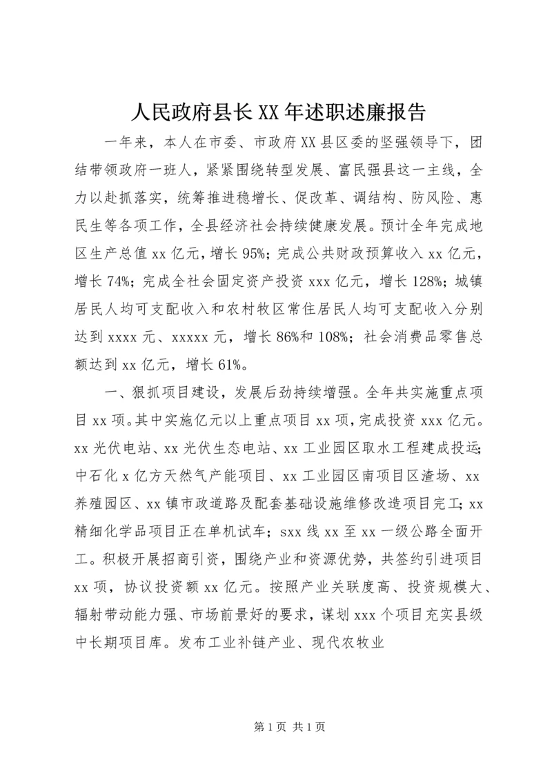 人民政府县长某年述职述廉报告.docx