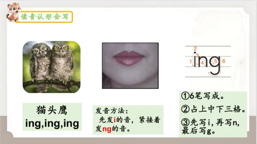 14《ang+eng+ing+ong》（课件）