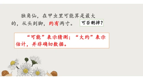4昆虫备忘录   课件