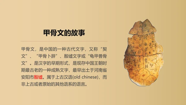 初中历史课教师PPT课件