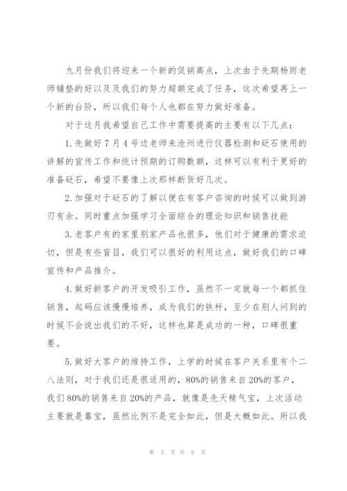 销售月度工作个人总结范文.docx