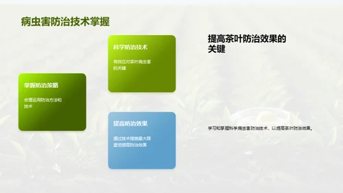 茶园病虫害科学防治