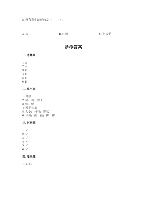 教科版一年级下册科学期末测试卷含答案（培优b卷）.docx