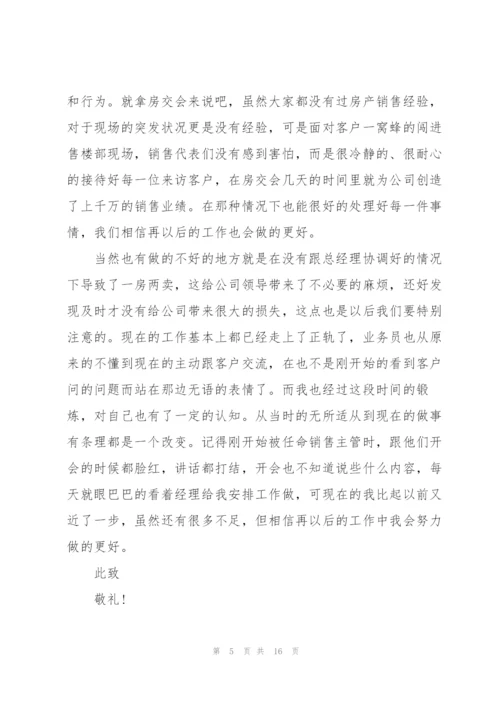 销售总监个人述职报告.docx