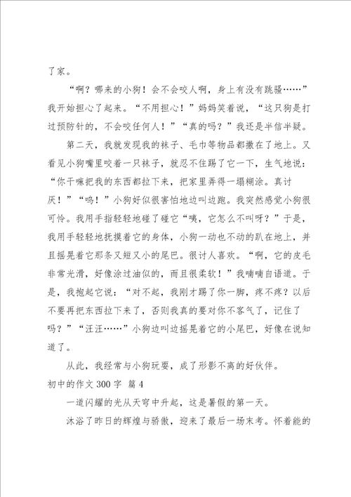 关于初中的作文300字合集六篇