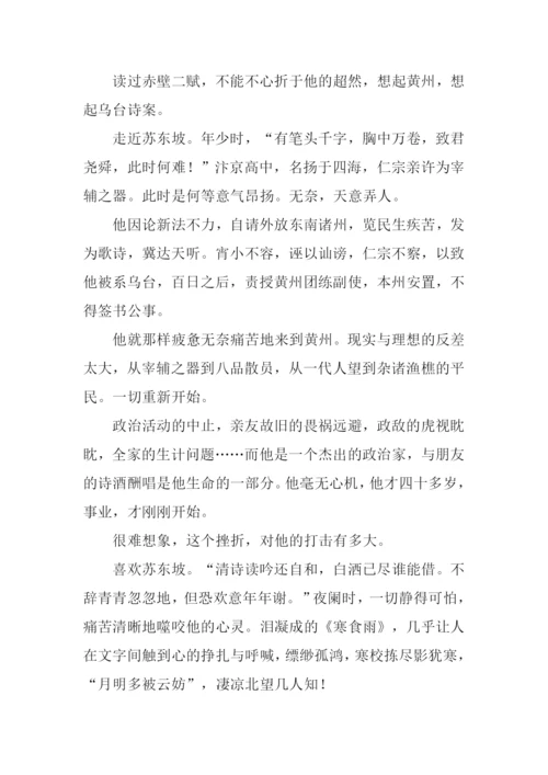 走进苏轼作文.docx