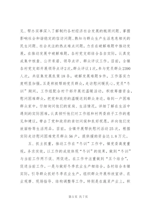 乡镇冬训工作总结范文.docx