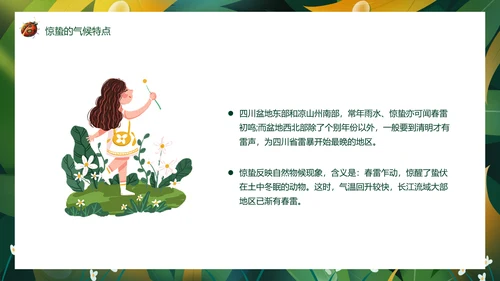 七星瓢虫惊蛰PPT模板