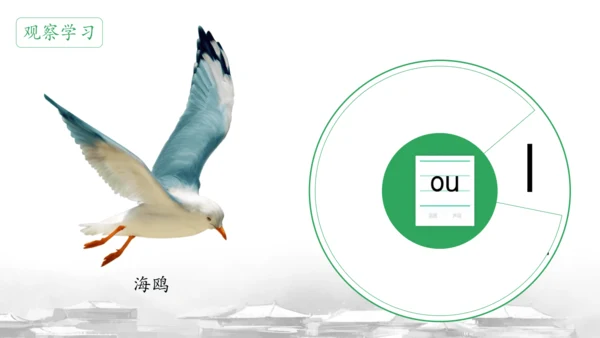 统编版语文一上汉语拼音《ao  ou  iu》 课件