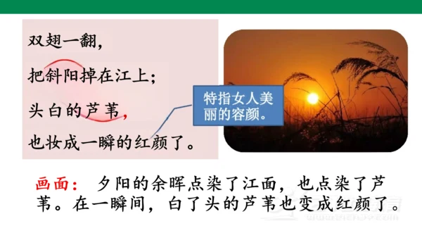 3《现代诗二首》课件