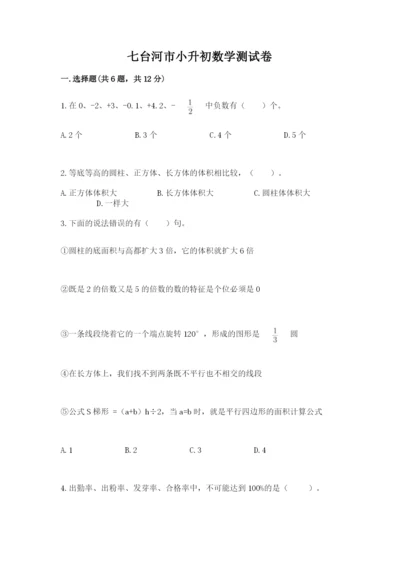七台河市小升初数学测试卷及参考答案一套.docx