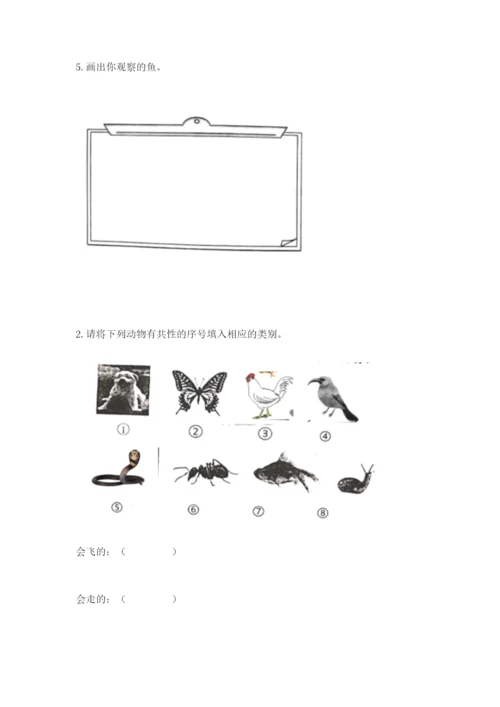 教科版一年级下册科学期末测试卷【典优】.docx