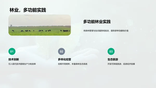 林业可持续发展