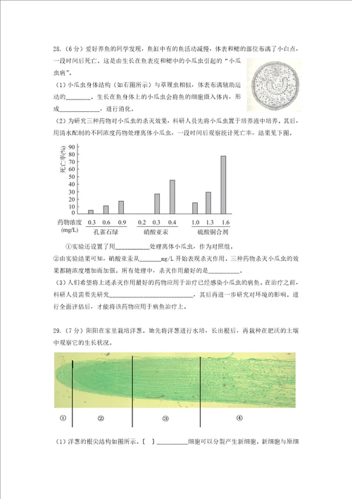 北京市东城区20222023七年级初一上学期期末生物试卷答案