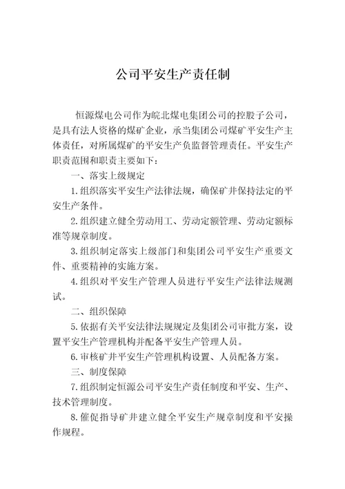 恒源煤电股份公司安全生产责任制修编版