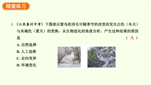 7.3.3生物进化的原因-八年级生物人教版下学期同步精品课件(共44张PPT)
