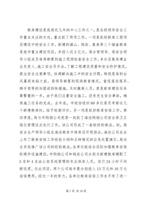 市粮食局安全工作总结及安排.docx