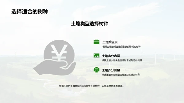 林地更新技术探索
