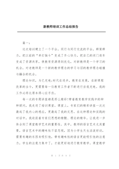 新教师培训工作总结报告.docx