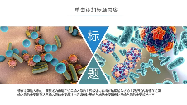 医疗细菌病毒微生物细胞组织动态ppt模板