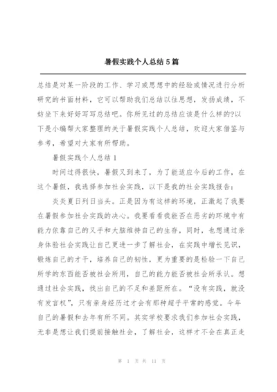 暑假实践个人总结5篇.docx