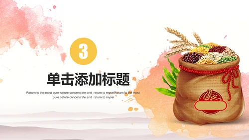 五谷杂粮农产品介绍宣传汇报PPT模板