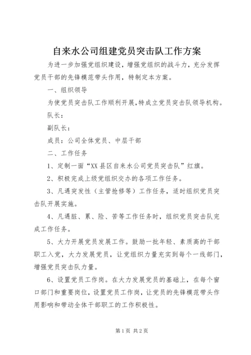 自来水公司组建党员突击队工作方案.docx