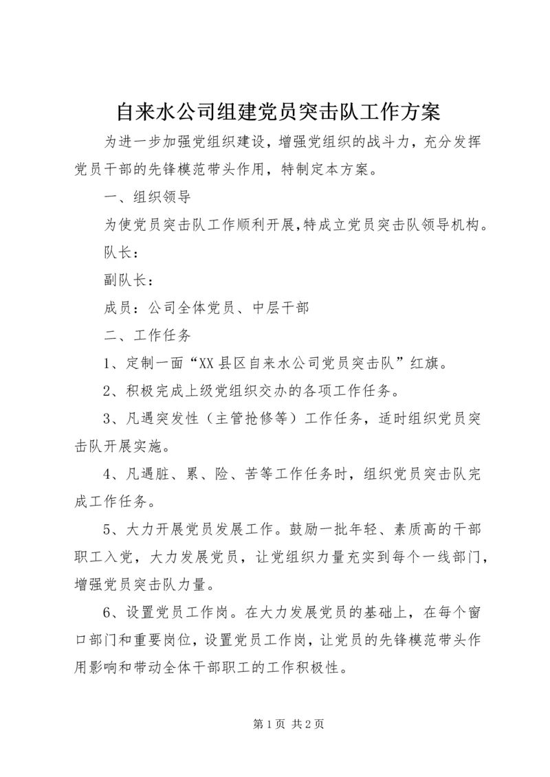 自来水公司组建党员突击队工作方案.docx