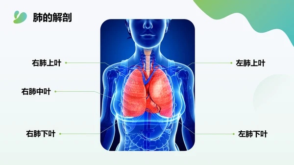 多边形渐变色简约风肺癌化疗病人护理查房PPT