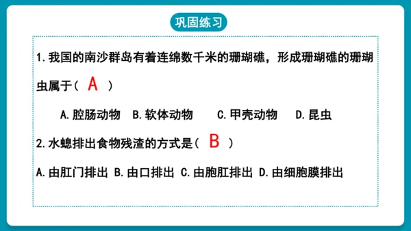 第一章动物的主要类群（复习课件）-八年级生物上册同步教学精制课件（人教版）(共25张PPT)