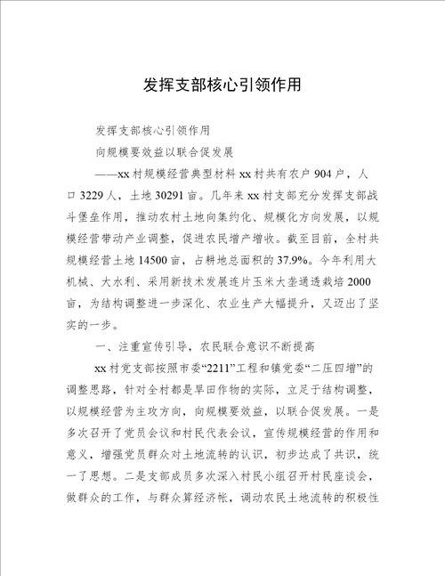 发挥支部核心引领作用